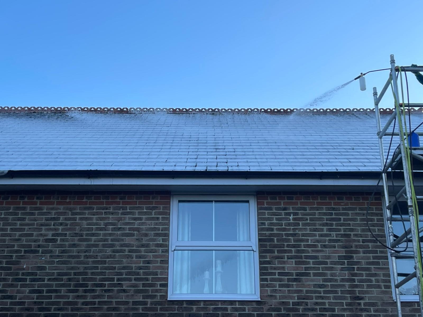 Roof cleaning and bio side