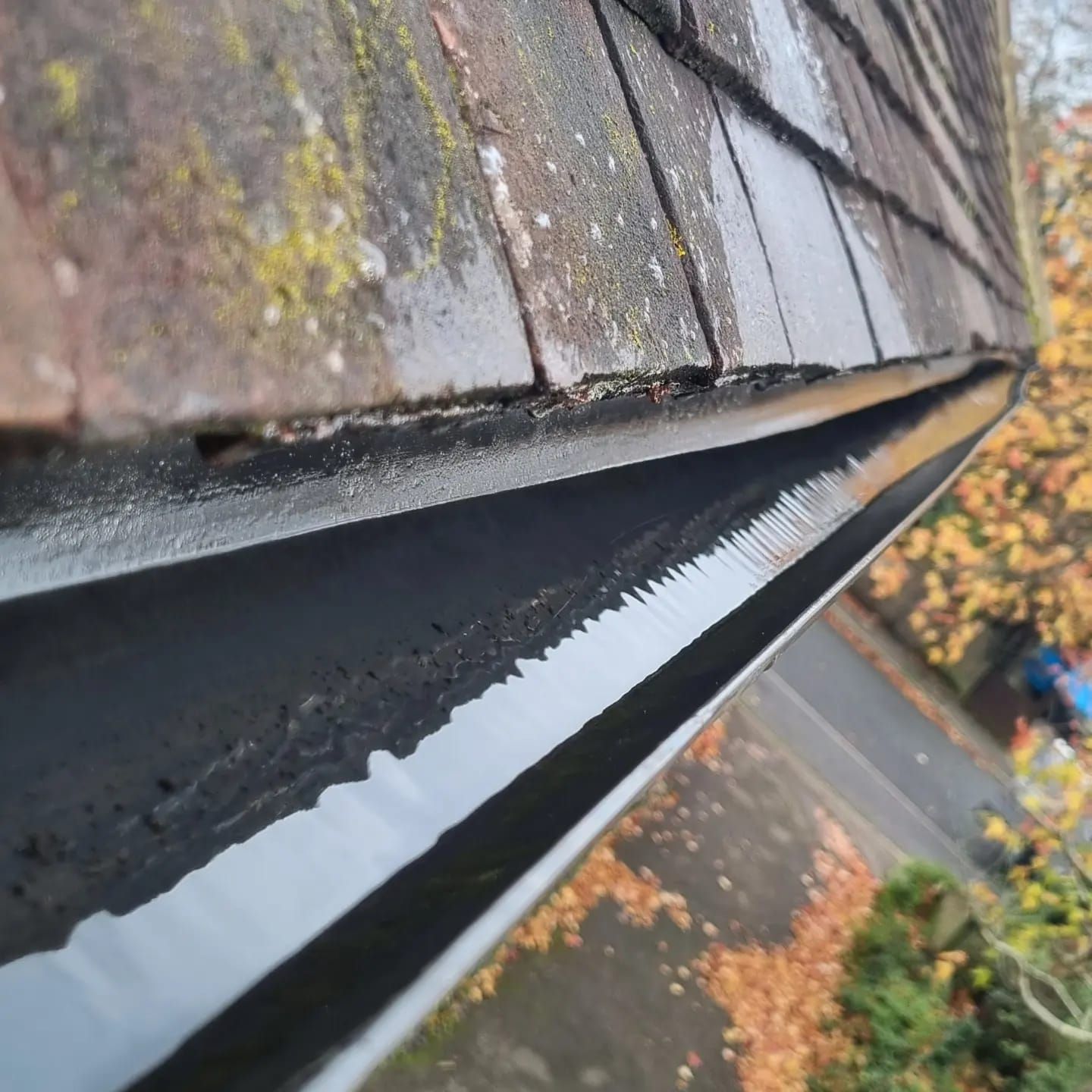 gutter Cleaning and repairs