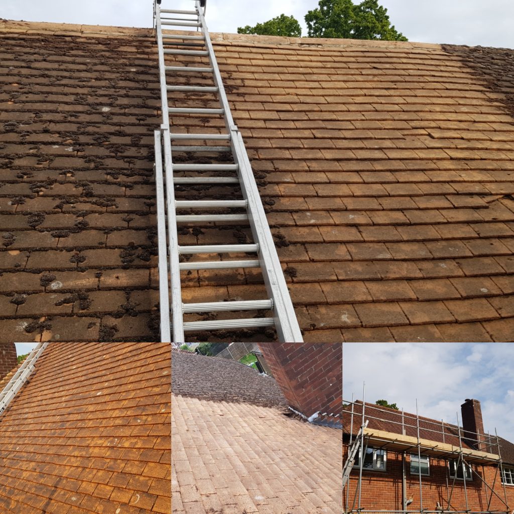 Roof cleaning and treated with an antifungal mosque wash in Lower Beeding