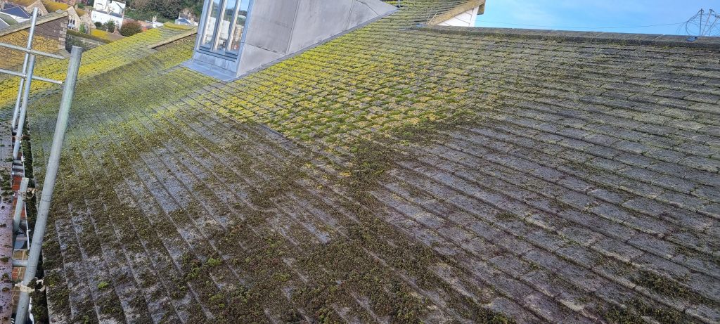 Roof cleaning in Hastings